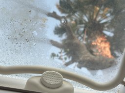 149-31-12-2025 IMG_3334